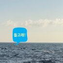 제주서귀포벨루아