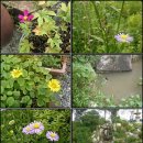 강변모텔 이미지