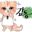폴CAT 이미지
