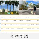 아기랑 괌 4박5일 상세일정 대한항공 기내식 호텔 렌트카 돌핀 남부투어 맛집 감기약 괌 공항 등