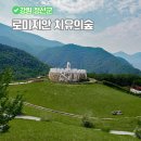 천년숲서로(서) | 로미지안 치유의숲 정선 여행지 추천 여름에 가볼만한곳 숲캉스
