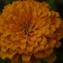 상동초등학교 이미지