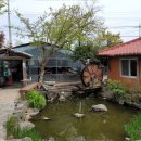 엄마와 까치집 두개 이미지