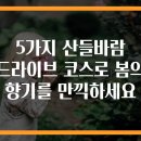 따뜻한 산들바람 이미지