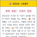 키드드림 | 이제는 990원 사주도 나왔다! 2026년 신년 사주아이 사주키드 내돈내산 후기