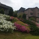 옥정호 마실길 펜션 이미지