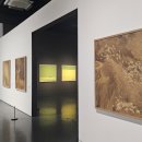 자연의 소리 Ⅱ 이미지