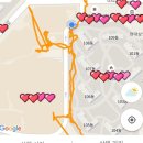 펫피랜드 | 펫피(PETP) / 위들(WEEDLE) 반려견 산책 어플 사용 후기❤️