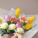 사파동126 이미지