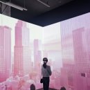 몽환 | 핑크버블 미디어 아트 전시 후기 몽환적인 이야기 가득한 강남 데이트 코스 강추