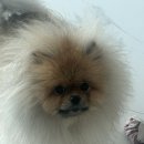 백마온누리약국 이미지