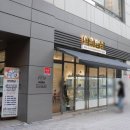 하이멍냥 강아지분양 고양이분양 서울본점 | 강동구 고양이 강아지분양 하이멍냥 서울 본점 후기