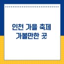 수인선 바람길 숲 | 인천 가을 축제 가볼만한 곳