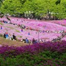 수리동주민센터 이미지