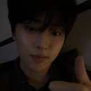 최강아지 이미지