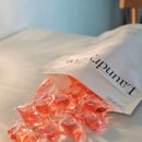 세탁하는 런드리임 | 향좋은 캡슐세제 런드리닷 올인원 세탁세제 후기