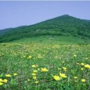 곰배령올레 이미지