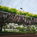 순천동산중학교 이미지