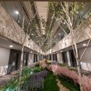 베스트웨스턴 호텔세종 이미지