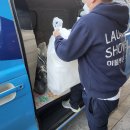 런드리샤워 이미지