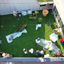 정원놀이사 양성과정 이미지