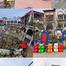 성체유치원 놀이터 이미지