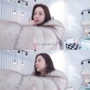프리지아