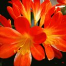 청로경로당 이미지