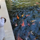 작은연못낚시터 | 정글 감성 발리 호텔 추천 - 파드마 우붓 후기 (아이들과 함께 하기 좋은 발리호텔)