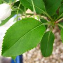 함양휴게소(하) 이미지