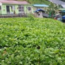 저동1리 경로당 이미지