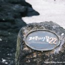 우연 한동 이미지