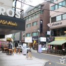 가로수길 이미지