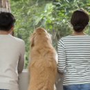 서산시동물보호센터 이미지