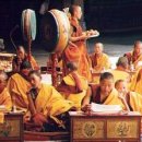 노벨라사 이미지