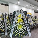 김 남 재 회원님 상 (73세,별세 ) 이미지
