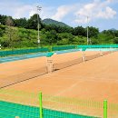 테니스장 이미지