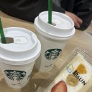 맛집] 스시사카바사시스 킷테하카타 솔직후기_추천!! 일본스시가 이래야지🩷(+무츠카도 후르츠산도)