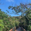 둥구민박 이미지