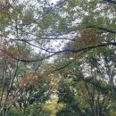 경상남도수목원(수생식물원) 이미지