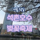 호수 | 🌸 석촌호수 벚꽃축제 후기
