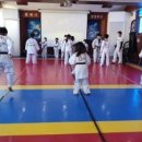 용인대용진태권도체육관
