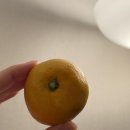 부경농장 이미지