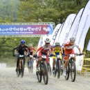 산악자전거경기장 이미지