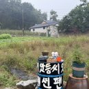 씨앗등펜션 | 고창 씨앗등펜션 / 내돈내산 6인숙소 가족여행 친척여행 추천! (Feat. 고창 메밀밭, 구시포해수욕장...