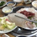 금화횟집 | 맛집 추천! 현지인이 인정하는 로컬 횟집, 금화횟집 2인 세트 솔직 후기 부산 여행을 가면 꼭 한 번은...