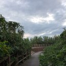 죽변등대공원 이미지