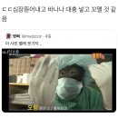 교직이수 동계 계절학기 3주 후기