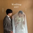 11545-06-25-08 | [W_06] 퀸벨호텔 브리에가든홀 아이폰스냅 '블리스스냅' 계약 후기┃대구 가성비 아이폰스냅 추천📸