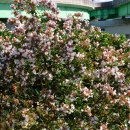 시민체육공원(야구장)화장실 이미지